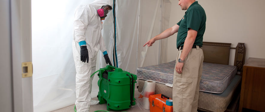 Longmont, CO mold removal process